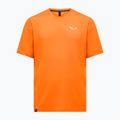 Men's T-shirt Salewa Pedroc Dry Light turmeric
