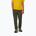Men's trekking trousers Salewa Pedroc 5 DST dark olive