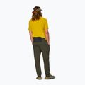 Men's trekking trousers Salewa Pedroc 5 DST dark olive 3