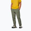 Men's trekking trousers Salewa Pedroc 3 DST Light faded green