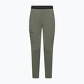 Men's trekking trousers Salewa Pedroc 3 DST Light faded green 6