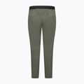 Men's trekking trousers Salewa Pedroc 3 DST Light faded green 7