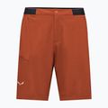Men's trekking shorts Salewa Pedroc 4 DST Cargo bombay brown/0910