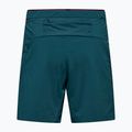 Men's trekking shorts Salewa Pedroc DST Light pond blue 8