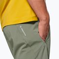 Men's trekking shorts Salewa Pedroc DST Light faded green 4