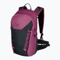 Women's hiking backpack DYNAFIT Transalper 22 l magenta/black out