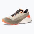 Men's running shoes DYNAFIT Ultra 100 V3 rock khaki/overcast 9