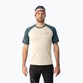 Men's running shirt DYNAFIT Alpine Pro overcast/0720