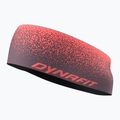 Headband DYNAFIT Graphic Performance cabana/6A90 gradient