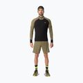 Men's running sweatshirt Dynafit Alpine LS 1/2 Zip Tee military green/0910 2