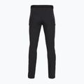 Men's trekking trousers Salewa Pedroc 5 DST black out 2