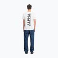 Alpha Industries men's t-shirt Backprint white 3
