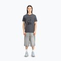 Alpha Industries men's t-shirt Hawaii vintage grey 2