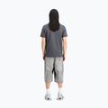 Alpha Industries men's t-shirt Hawaii vintage grey 3