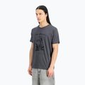 Alpha Industries men's t-shirt Hawaii vintage grey 4