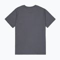 Alpha Industries men's t-shirt Hawaii vintage grey 8