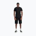 Alpha Industries men's polo shirt Label T Back Print black 2