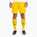 Men's football gaiters PUMA Team Liga Core cyber yellow/puma black 2