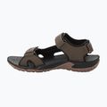 Jack Wolfskin Lakewood Cruise brown men's trekking sandals 4019011 12