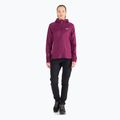 Jack Wolfskin women's Hydro Grid Fleece sweatshirt pink 1709911 2