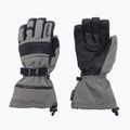 Reusch Isidro GTX grey ski glove 49/01/319
