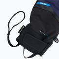Reusch Blaster GTX ski glove black/blue 61/01/329 6