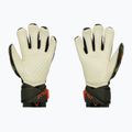 Reusch Attrakt Speedbump Ortho-Tec goalkeeper gloves green 5370078-5556 2