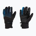 Ski glove Reusch Blaster Gore-Tex dress blue/black