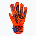 Reusch Attrakt Starter Grip goalkeeper glove hyper orng/elec blue 2