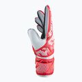 Goalkeeper glove Reusch Attrakt Solid poland 4