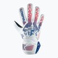 Reusch Attrakt Solid croatia goalkeeper gloves 2