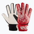 Children's goalkeeping gloves Reusch Attrakt Starter Solid Junior poland