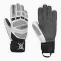 Men's ski gloves Reusch Worldcup Warrior DG white/glacier