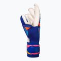 Goalkeeper gloves Reusch Attrakt Gold X Evolution sharp blue/white/shocking orange 4