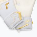 Goalkeeper gloves Reusch Attrakt AB1 Advance white/gold 5