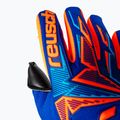 Goalkeeper gloves Reusch Attrakt Freegel Duo NC sharp blue/shocking orange/black 6
