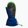Children's ski gloves Reusch Maxi R-Tex XT Mitten surf the web/green gecko 3