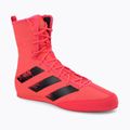 Boxing shoes adidas Box Hog 3 pink FX1991