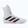 Boxing shoes adidas Box Hog 3 white and black GV9975 2