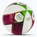 ERIMA Hybrid Training 2.0 red/green gecko football size 5 2