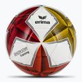 ERIMA Senzor Star Training various size 5 football