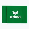 Tibia protectors straps ERIMA Guard Stays emerald