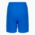 PUMA Teamliga children's football shorts navy blue 704931 02 2