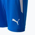 PUMA Teamliga children's football shorts navy blue 704931 02 3