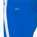 PUMA Teamliga children's football shorts navy blue 704931 02 4