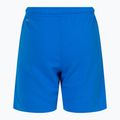 PUMA Teamrise children's football shorts blue 704943 02 2