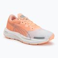 Women's running shoes Puma Velocity Nitro 2 melon/white/grey