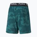 Men's training shorts PUMA Train Off Season AOP Woven 7" green 522359 24 2