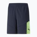 PUMA men's football shorts Individual Final navy blue 658042 47