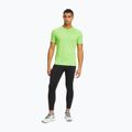 FILA men's t-shirt Ridgecrest jasmine green 2